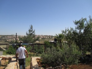 The illegal settlement of Giv'at Ze'ev creeps towards Al Khalayleh